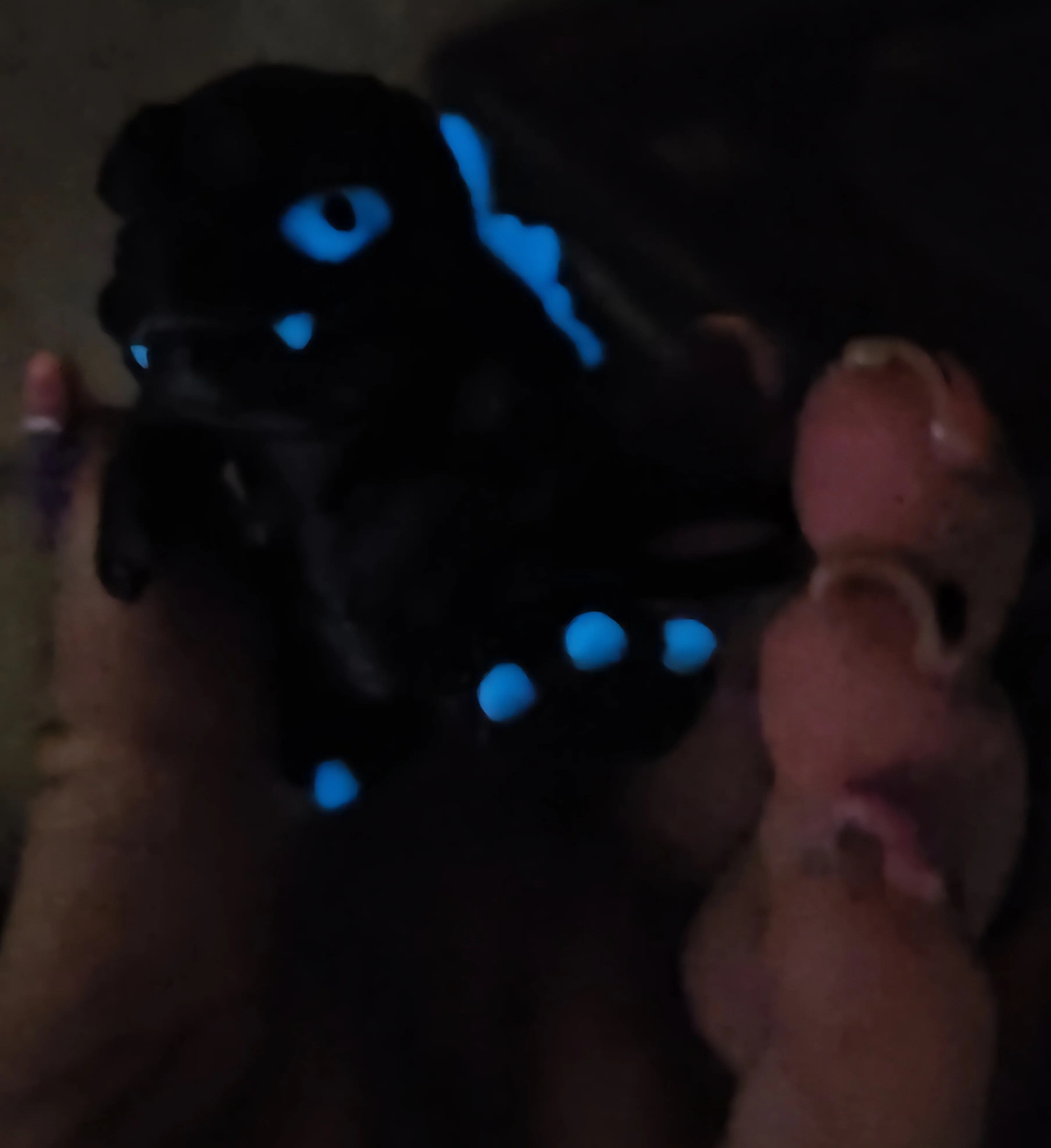 MONSTER KING-3D PRINTED STRAW BUDDY-GLOW IN THE DARK - Image 2